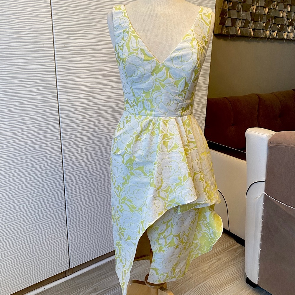 Badgley Mischka - Green/Cream Floral Dress Size 4